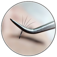 Utilização Pinças